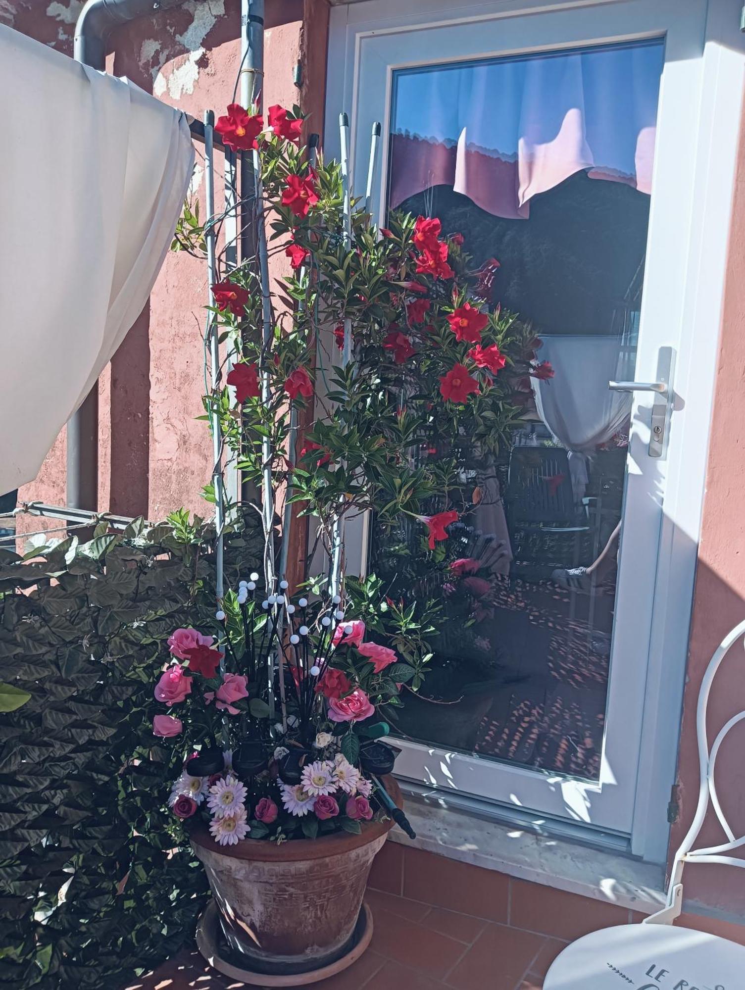 La Terrazza Di Ameglia Alta Apartment Ngoại thất bức ảnh